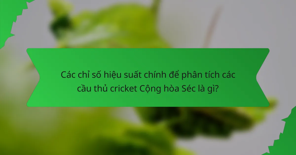 Các chỉ số hiệu suất chính để phân tích các cầu thủ cricket Cộng hòa Séc là gì?