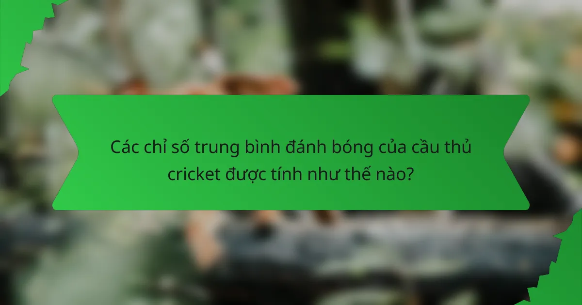 Các chỉ số trung bình đánh bóng của cầu thủ cricket được tính như thế nào?