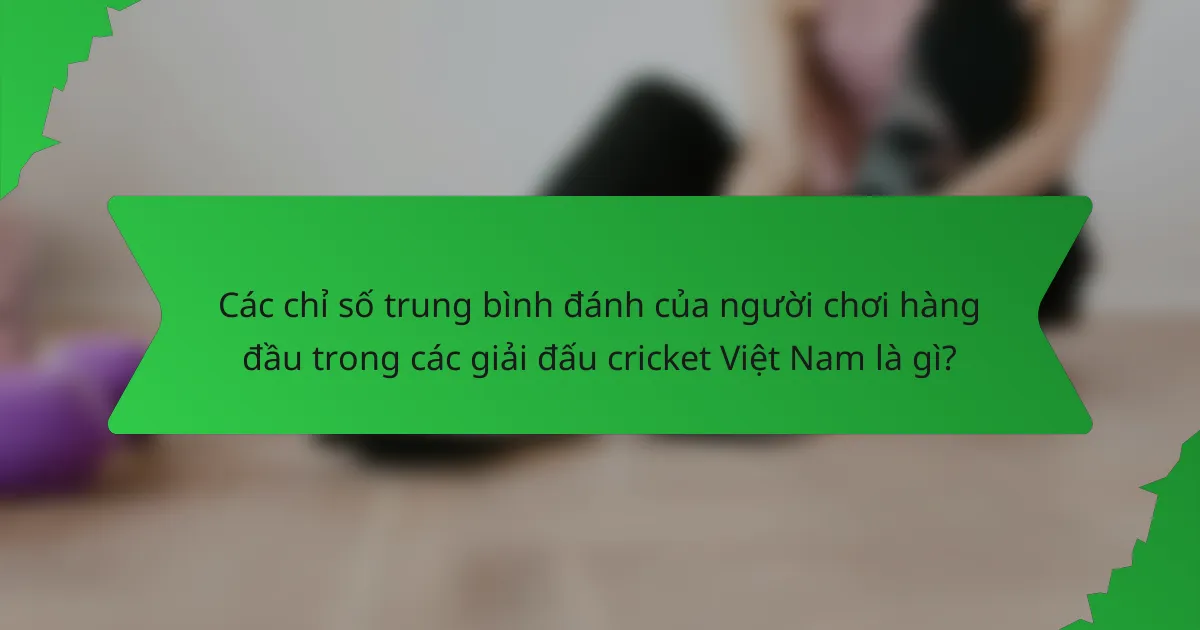 Các chỉ số trung bình đánh của người chơi hàng đầu trong các giải đấu cricket Việt Nam là gì?
