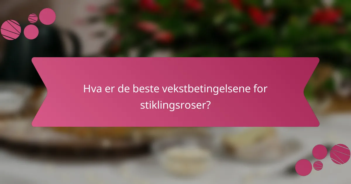 Hva er de beste vekstbetingelsene for stiklingsroser?