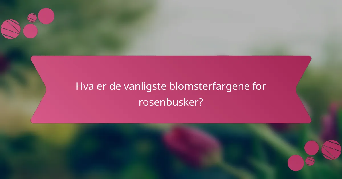 Hva er de vanligste blomsterfargene for rosenbusker?