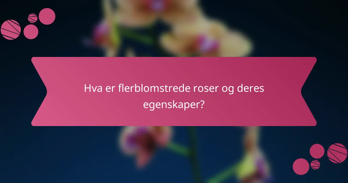 Hva er flerblomstrede roser og deres egenskaper?