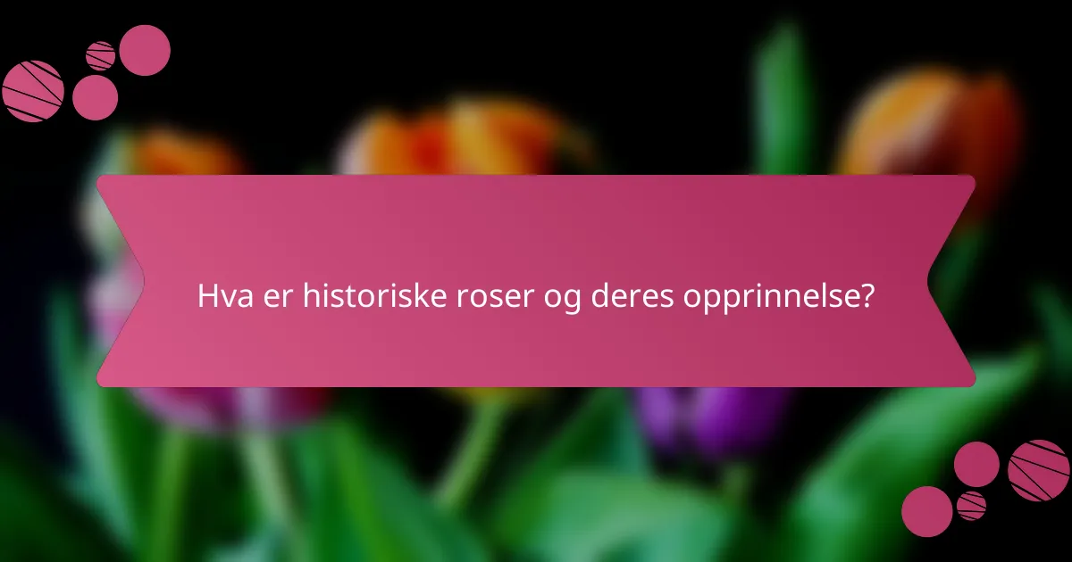 Hva er historiske roser og deres opprinnelse?