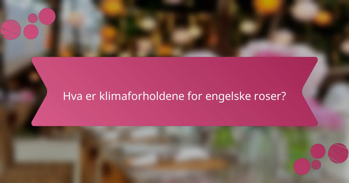 Hva er klimaforholdene for engelske roser?
