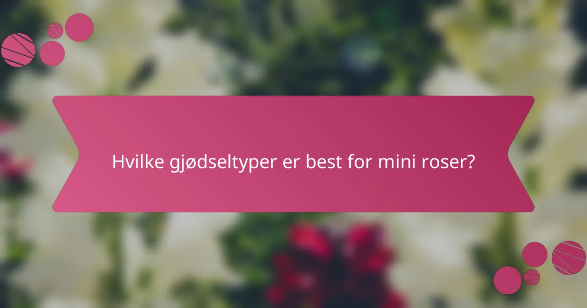Hvilke gjødseltyper er best for mini roser?