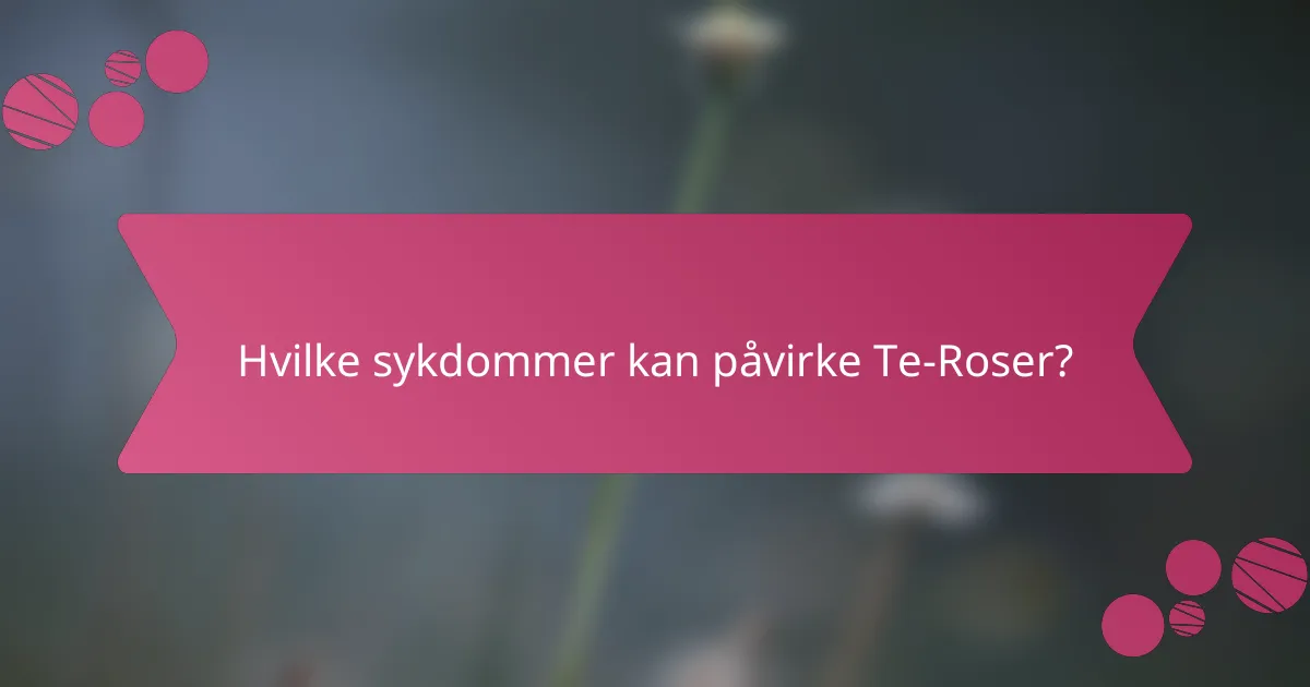 Hvilke sykdommer kan påvirke Te-Roser?
