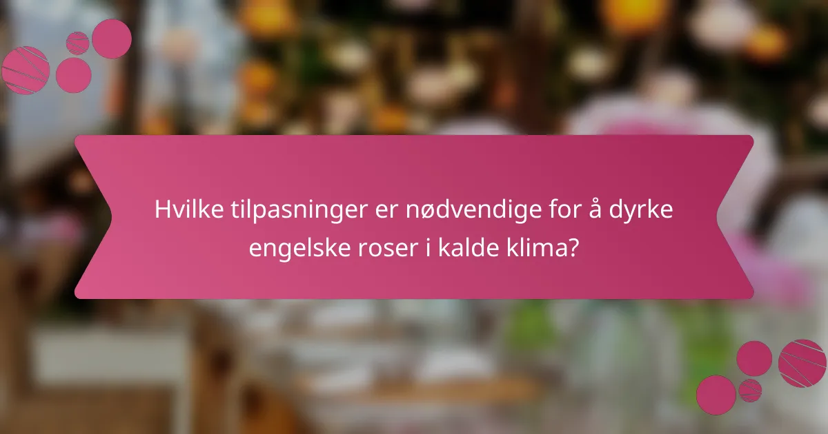 Hvilke tilpasninger er nødvendige for å dyrke engelske roser i kalde klima?