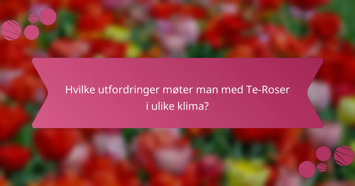 Hvilke utfordringer møter man med Te-Roser i ulike klima?