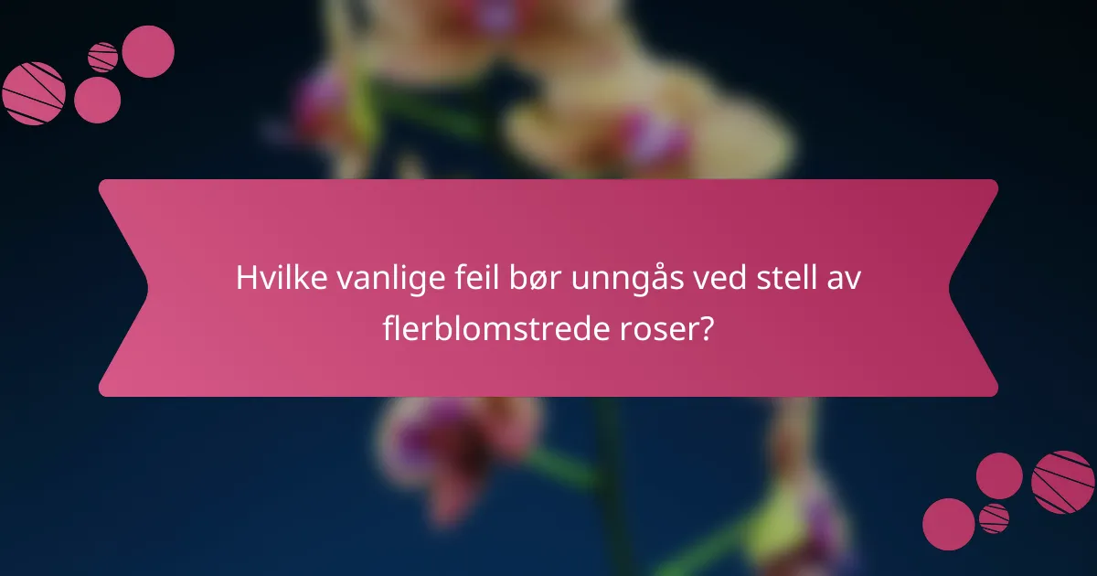 Hvilke vanlige feil bør unngås ved stell av flerblomstrede roser?