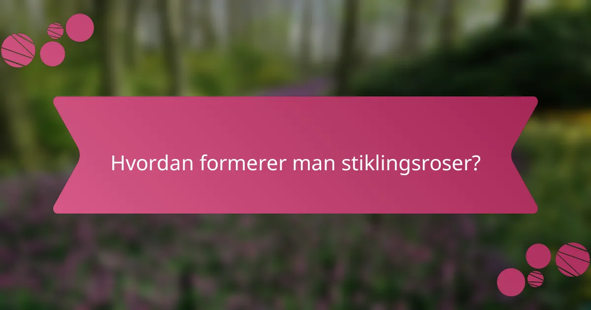Hvordan formerer man stiklingsroser?