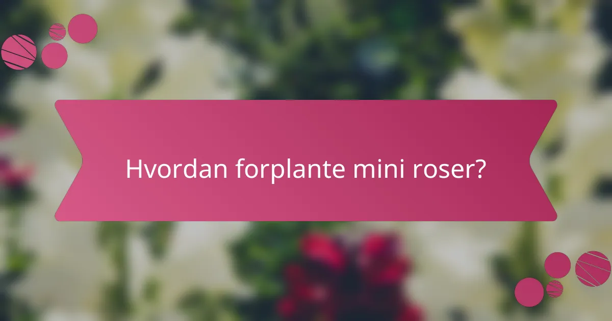 Hvordan forplante mini roser?