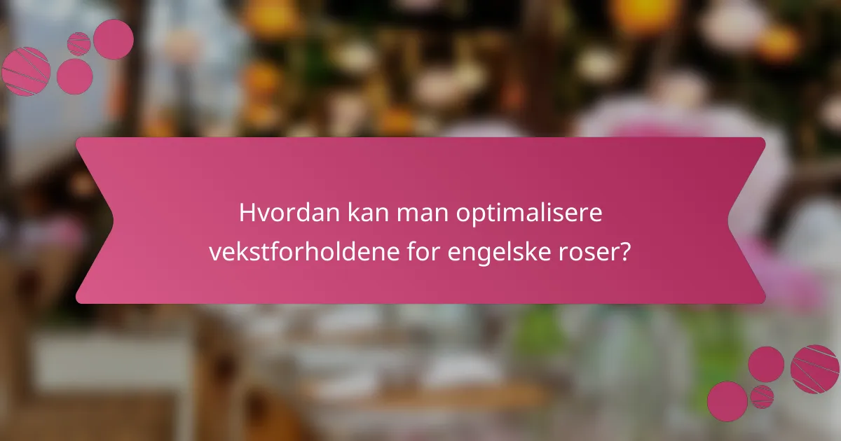 Hvordan kan man optimalisere vekstforholdene for engelske roser?