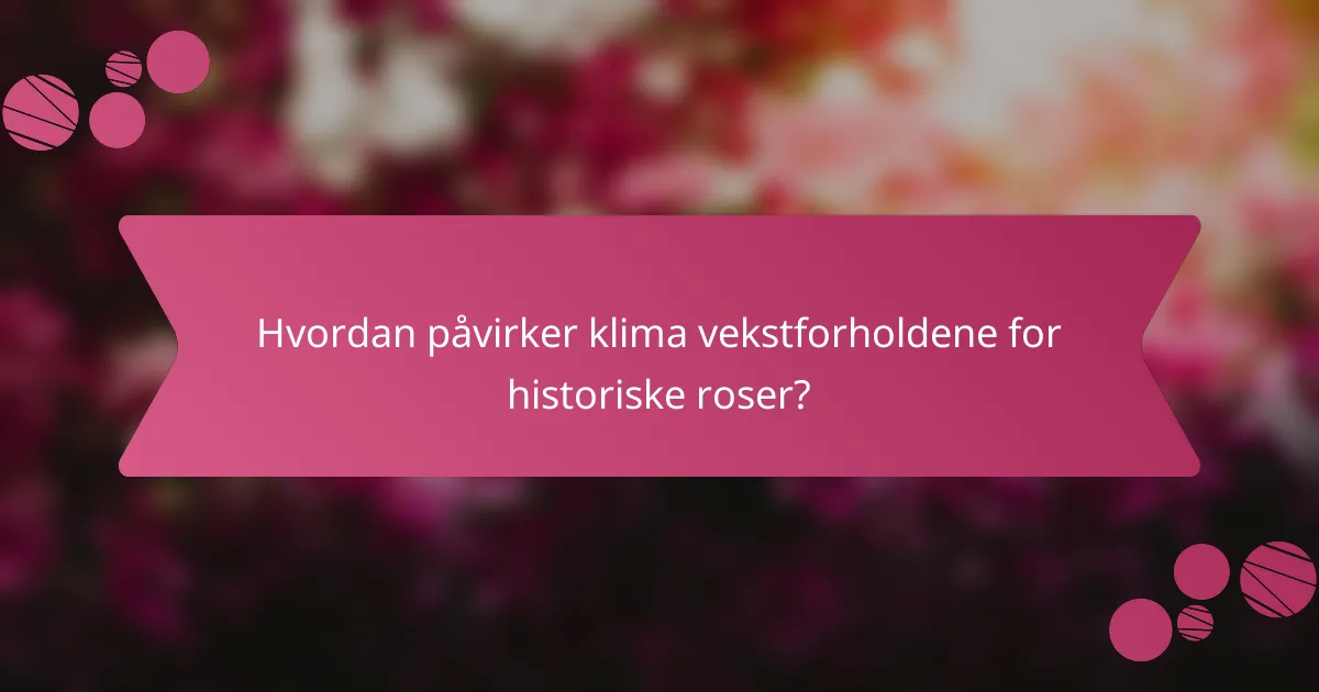 Hvordan påvirker klima vekstforholdene for historiske roser?