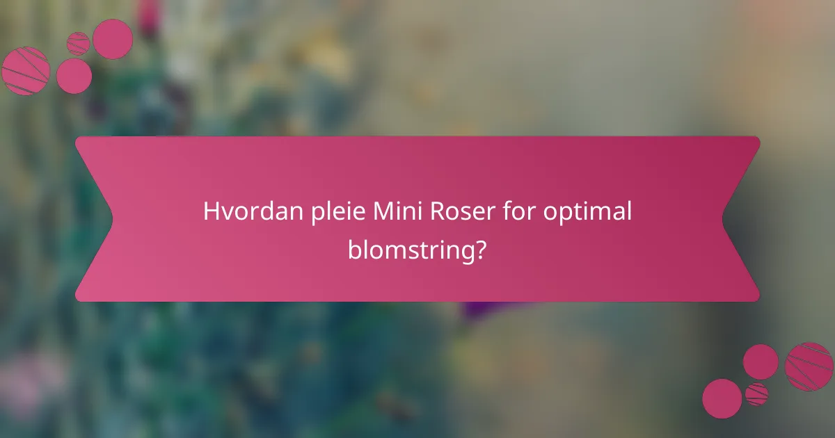 Hvordan pleie Mini Roser for optimal blomstring?