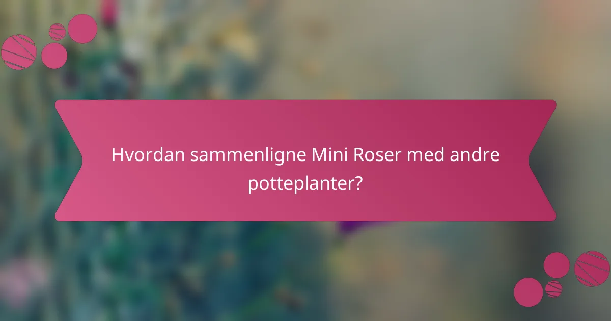 Hvordan sammenligne Mini Roser med andre potteplanter?