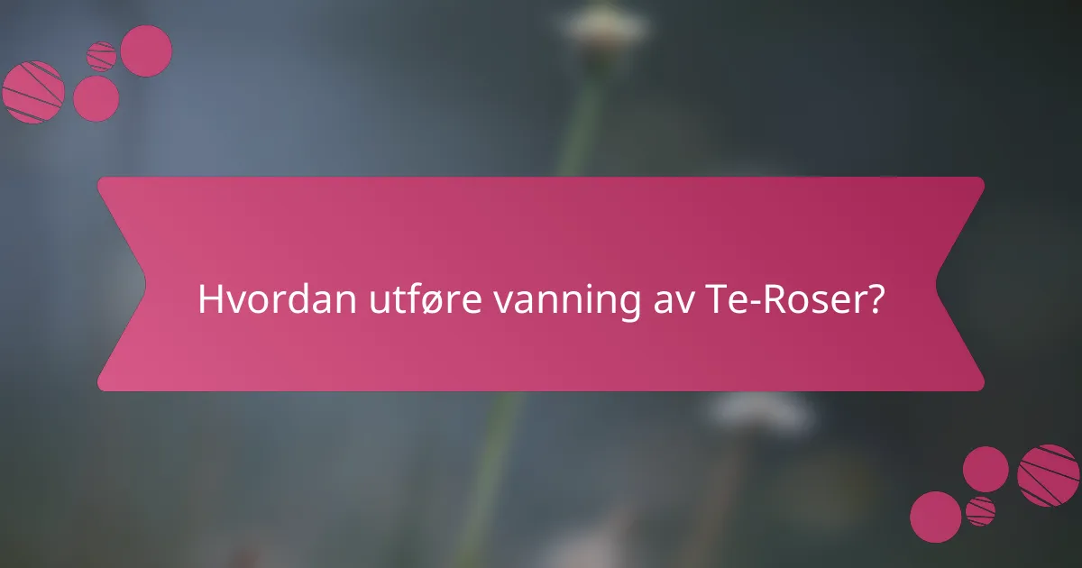 Hvordan utføre vanning av Te-Roser?
